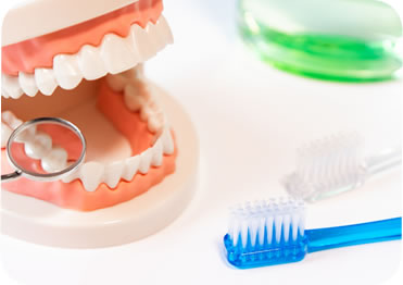 歯周病予防が最も大切です。歯のクリーニングの次は、歯周病予防プログラムをお勧めいたします。